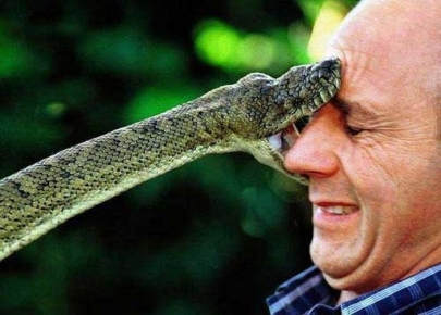 A snake kissy-poo. Another reason to love 'em.